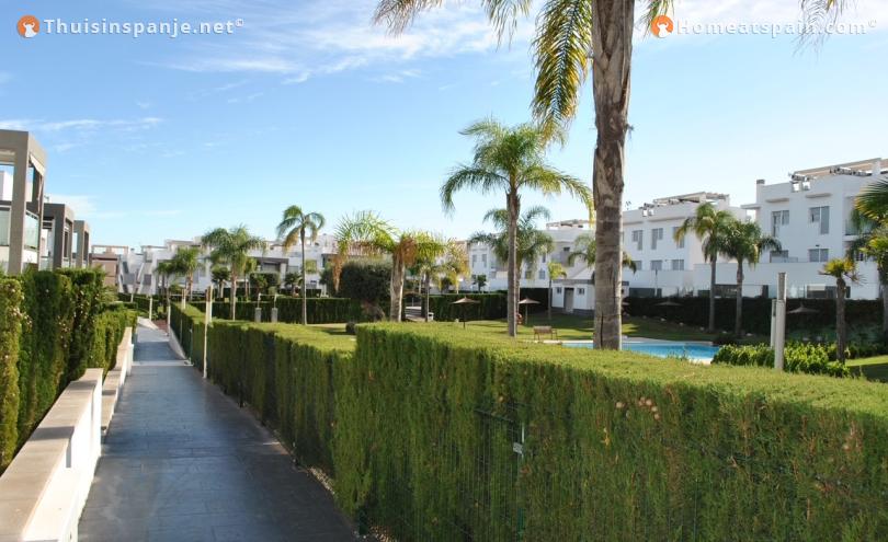 Holiday rental in Amay Quinto Punta Prima Torrvieja.