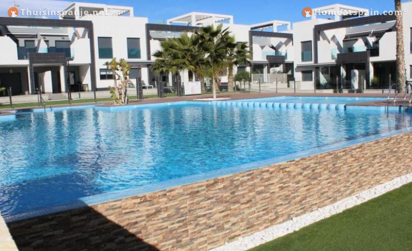 Rent this apartment in oasis beach 2
