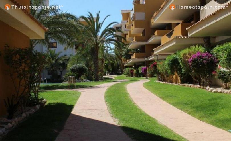 Holiday rental for hibernate and vacation in Punta Prima Torrevieja. 