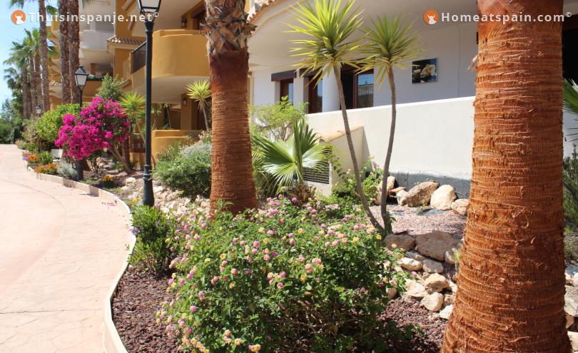 Cozy holiday rental in Punta Prima Torrevieja.
